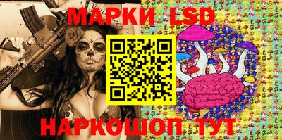 гидра Вязьма