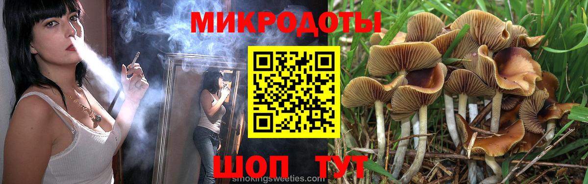 Псилоцибиновые грибы Psilocybe Городец