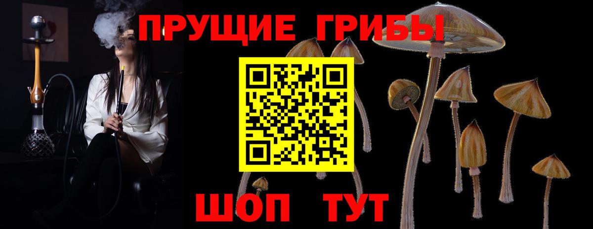 Псилоцибиновые грибы Magic Shrooms  Псилоцибиновые грибы мицелий  Городец  Вход с VPN 